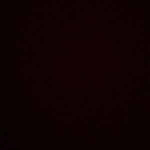 Meet your Posher, Gavin